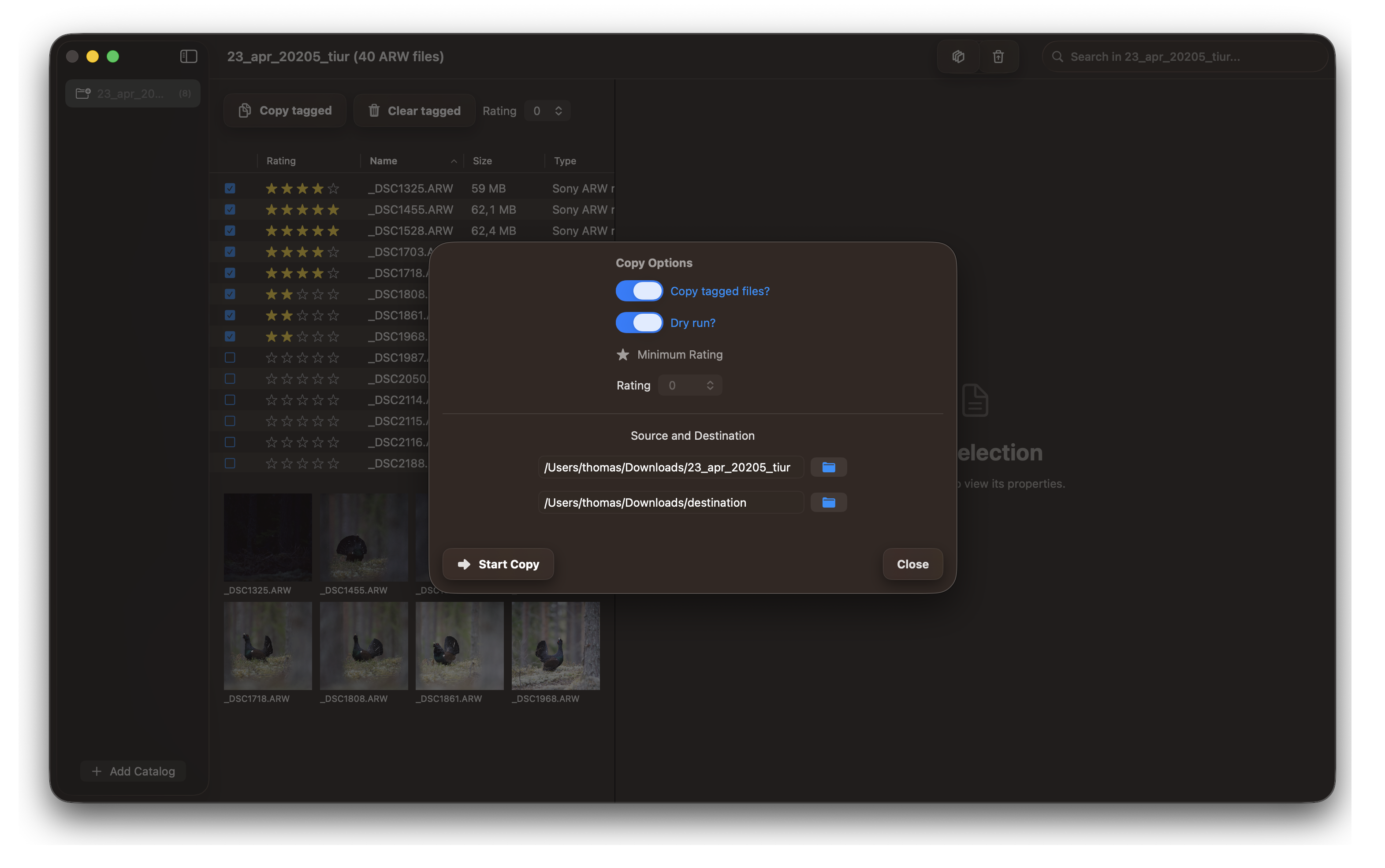 Selecting all tagged photos