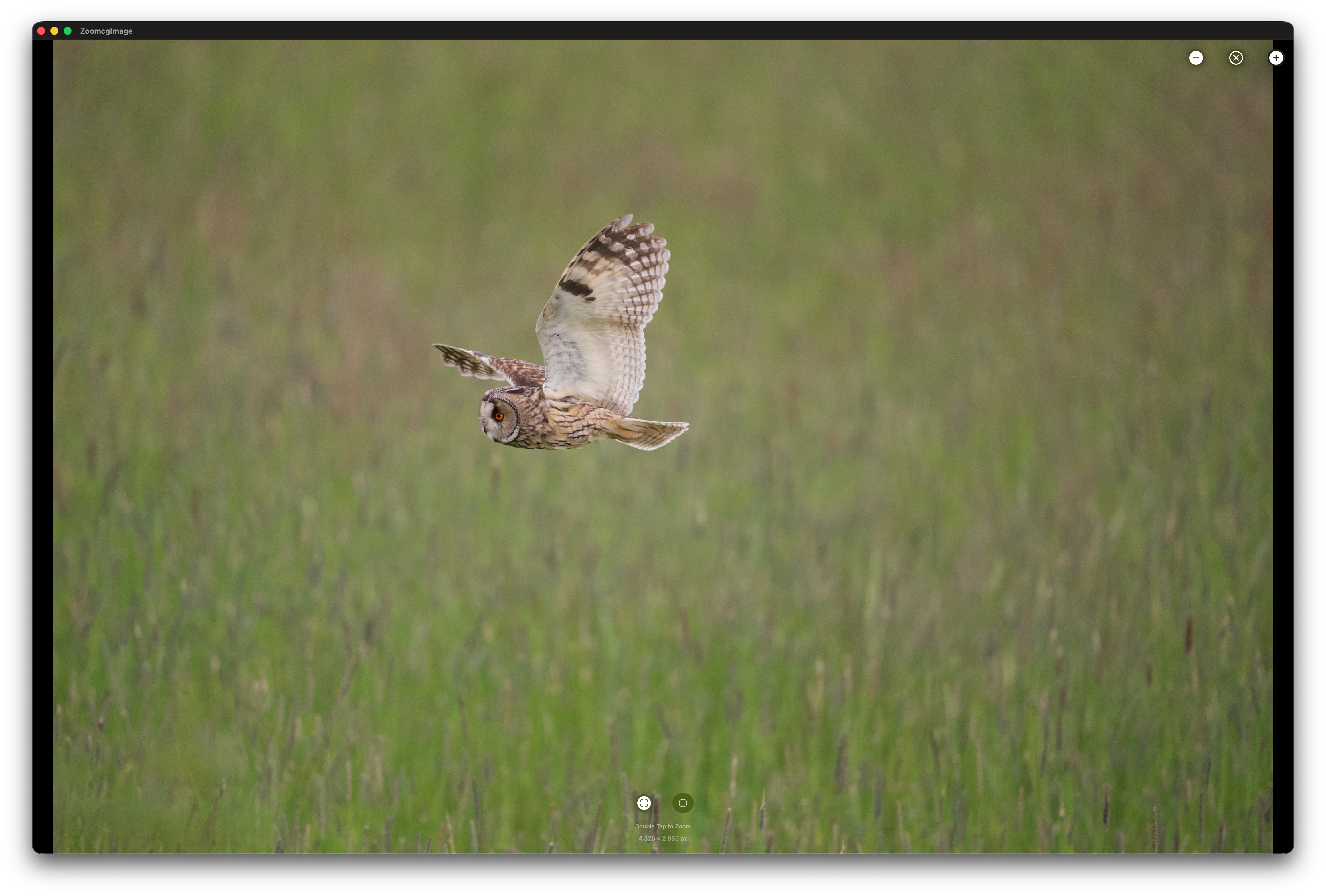 RawCull scanning photo library