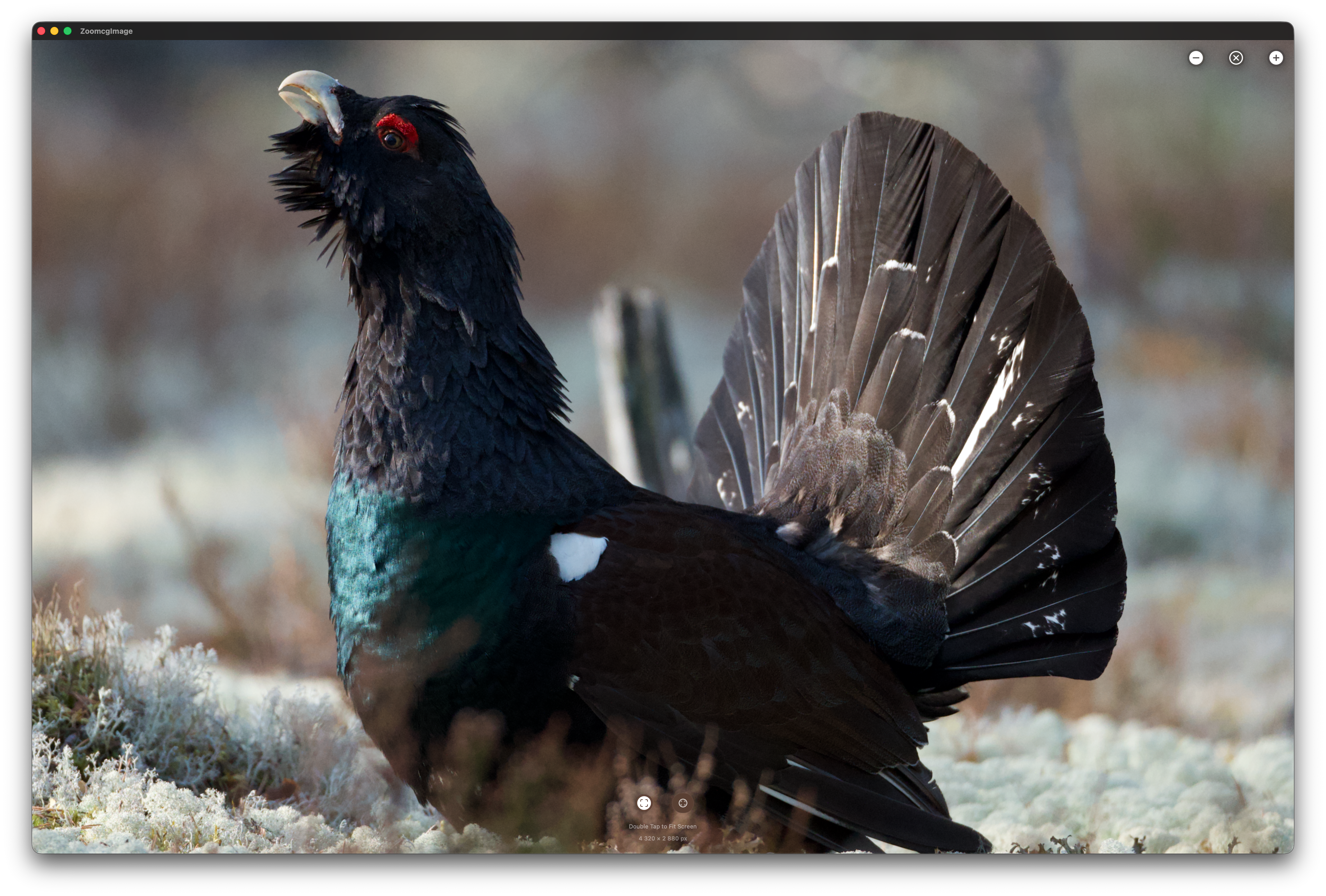 RawCull scanning photo library