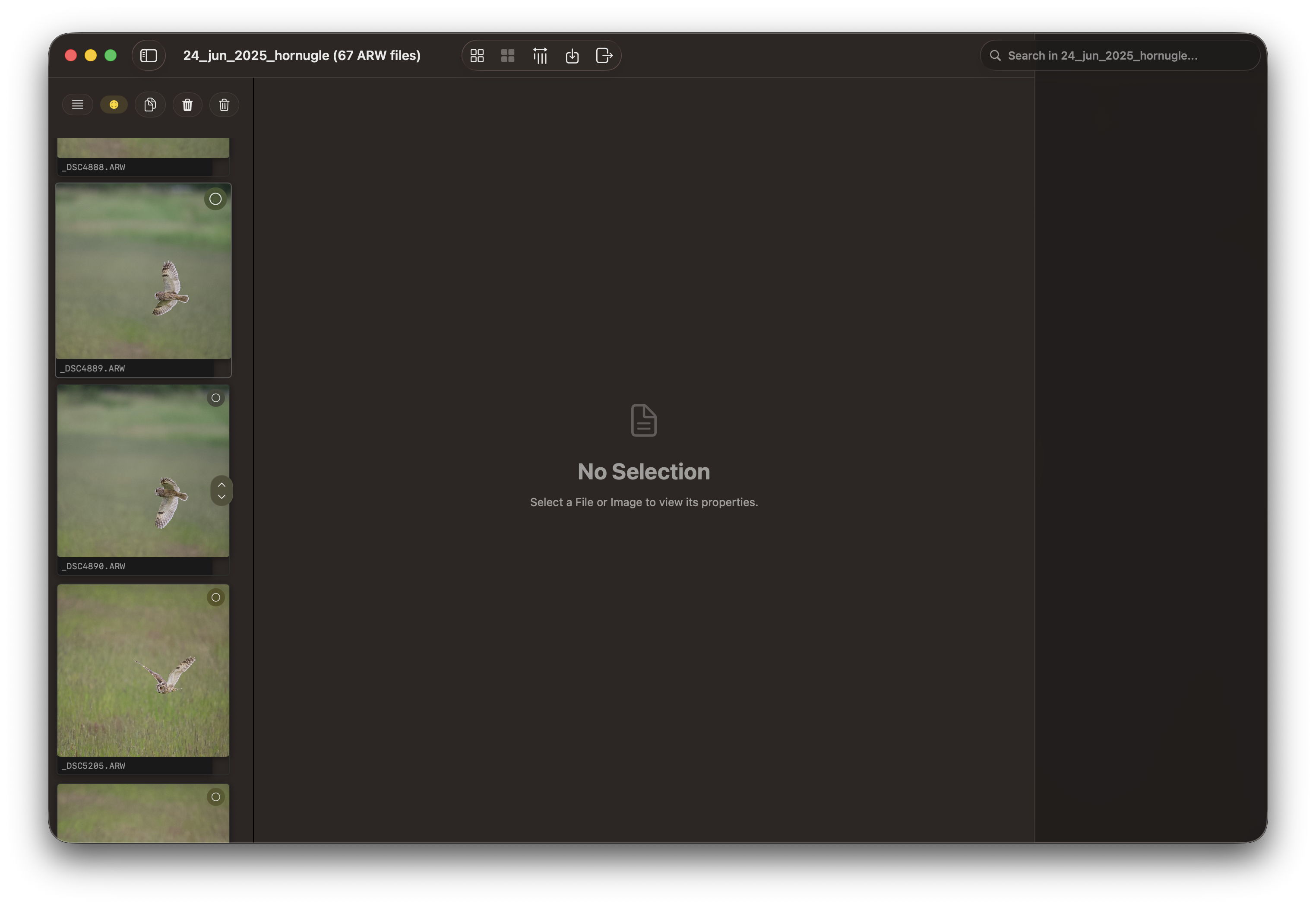 RawCull scanning photo library