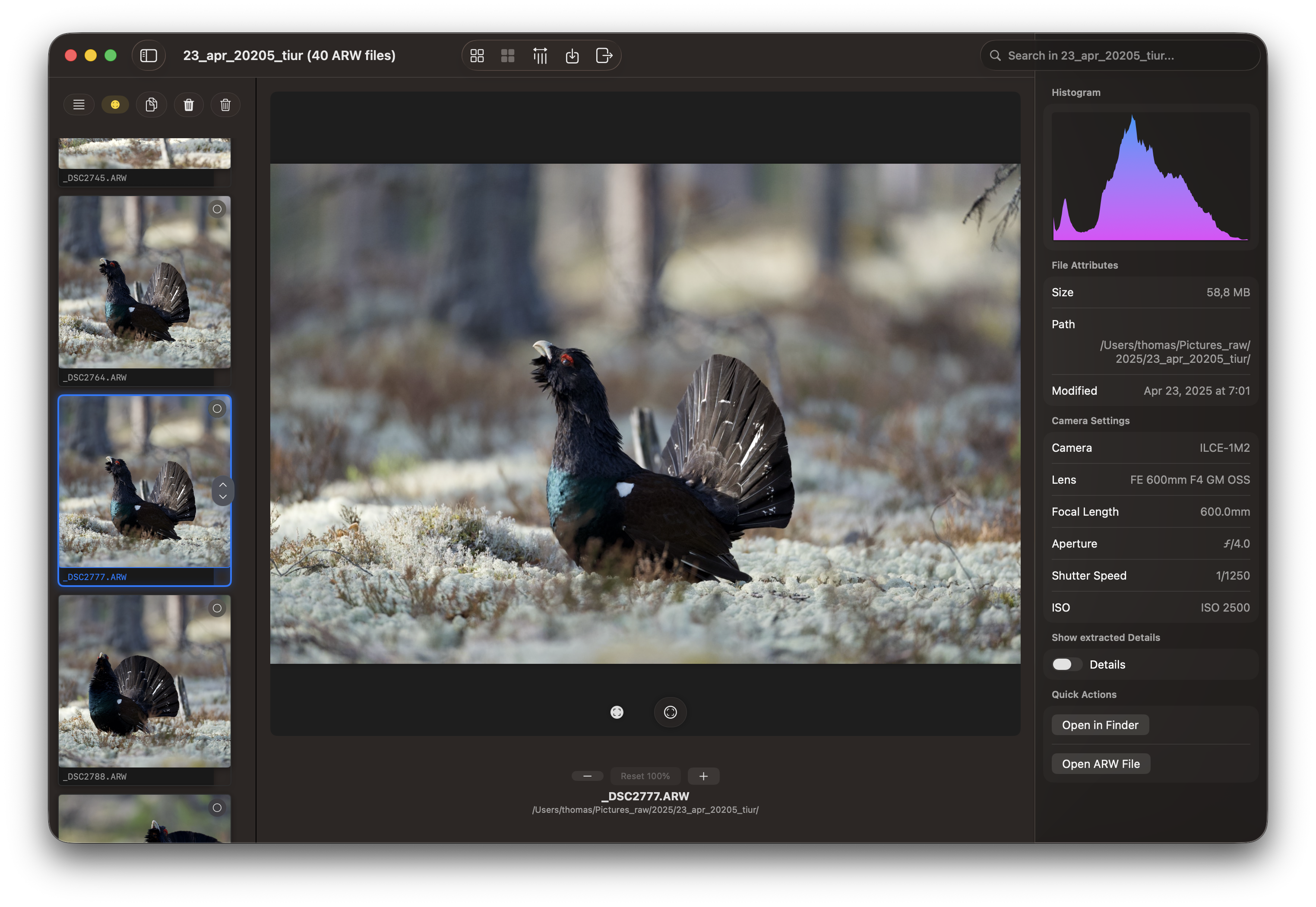 RawCull library after scanning