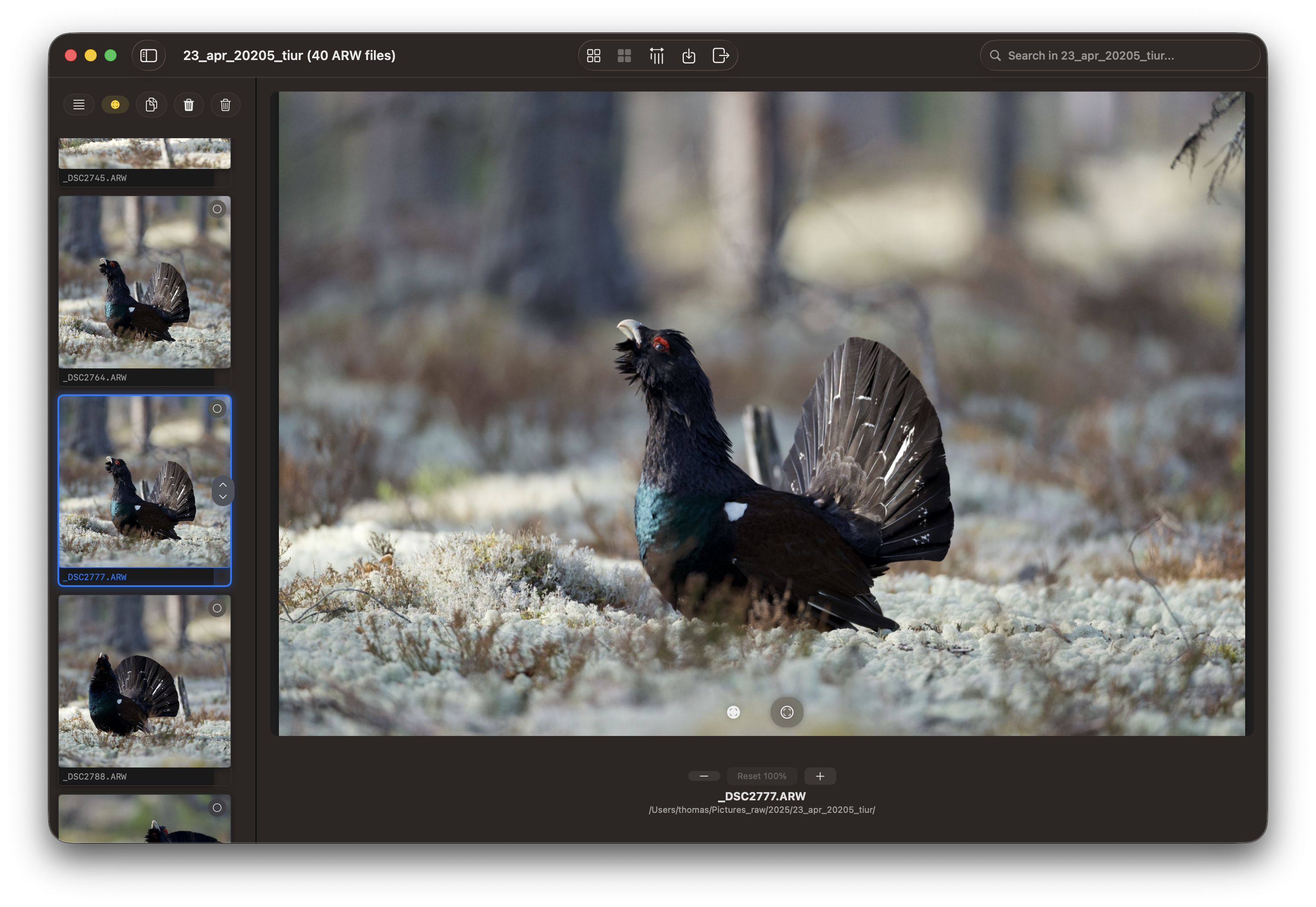 RawCull library after scanning
