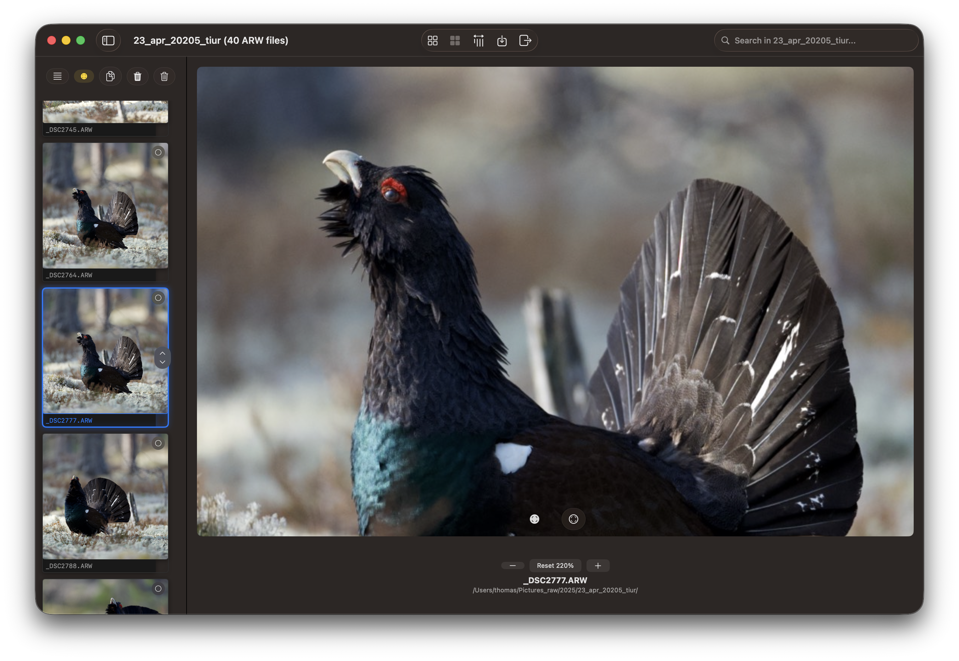 RawCull library after scanning