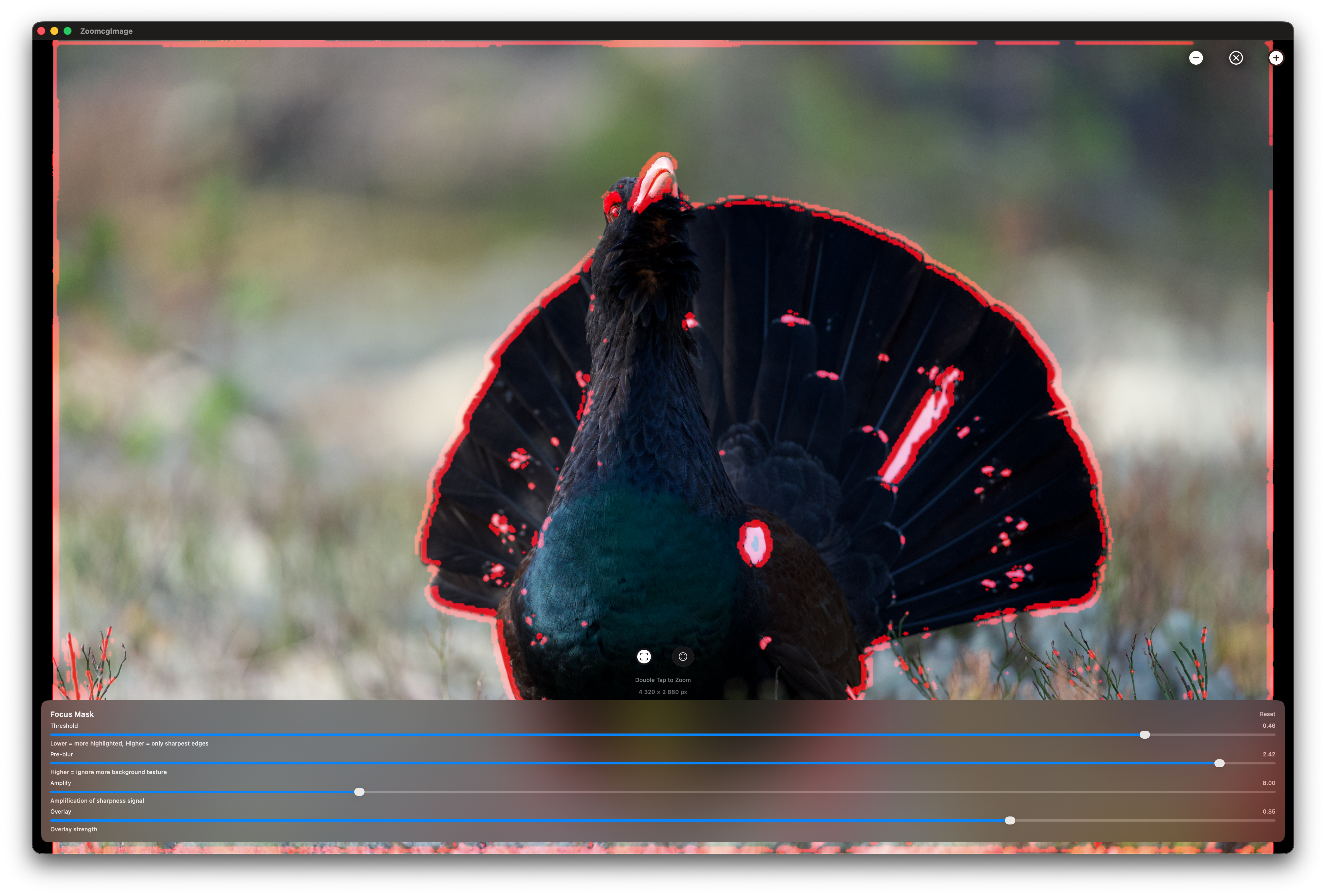 RawCull library after scanning