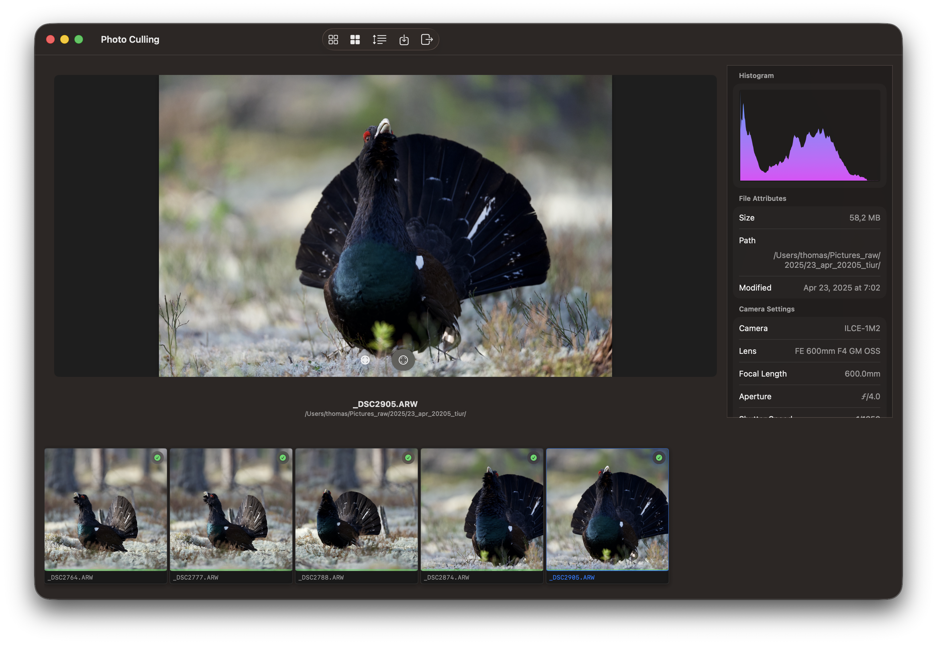 RawCull library after scanning
