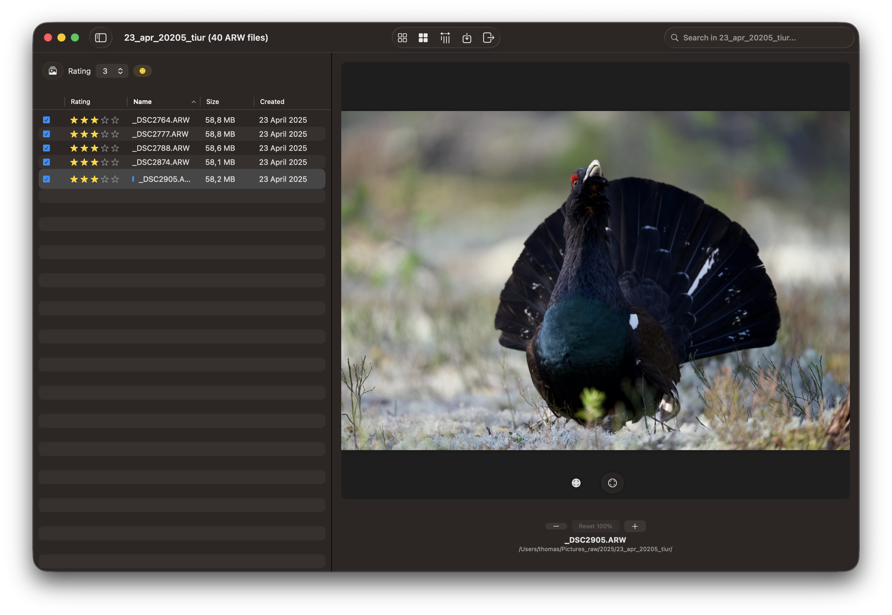 Detailed view without zoom