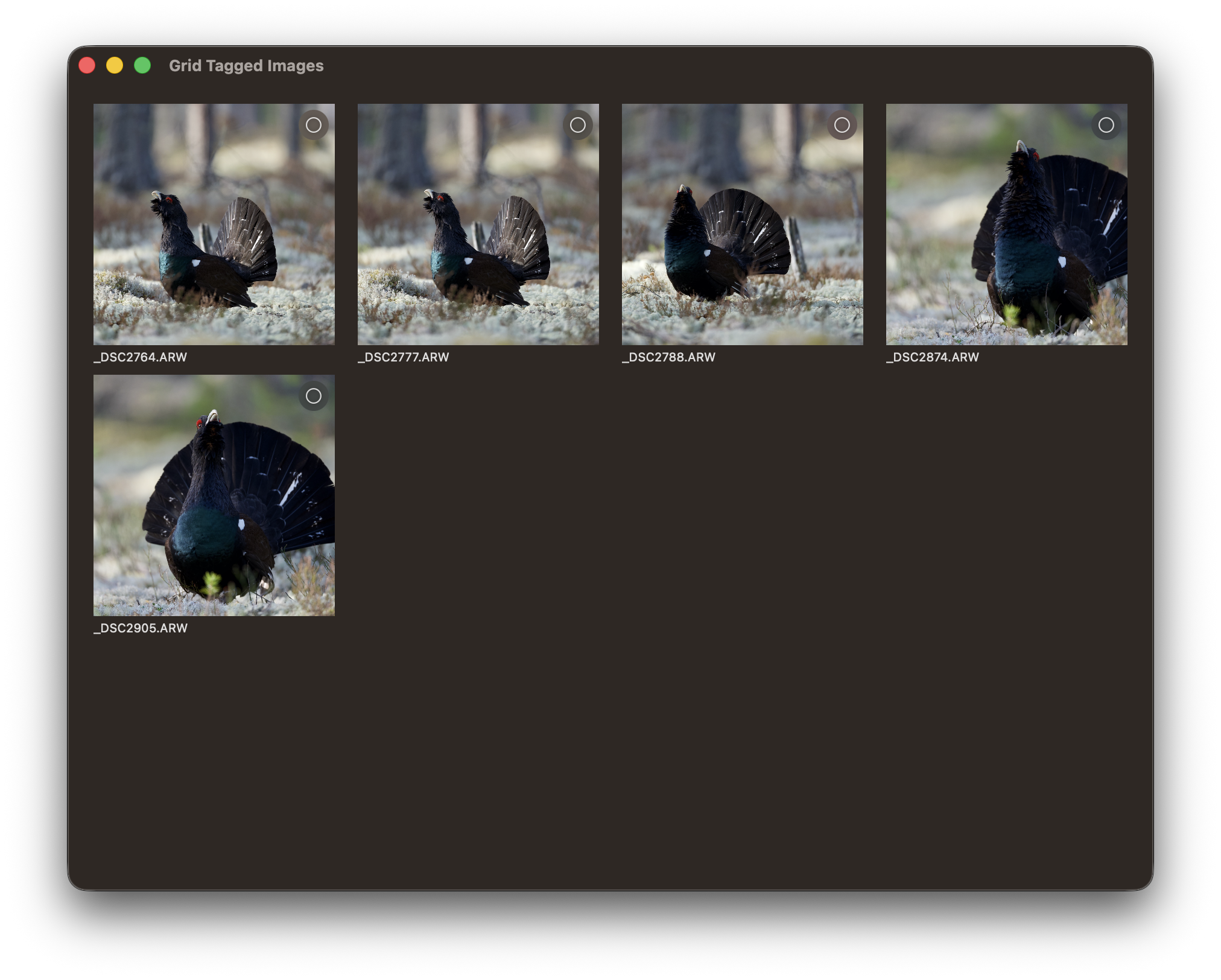 RawCull library after scanning