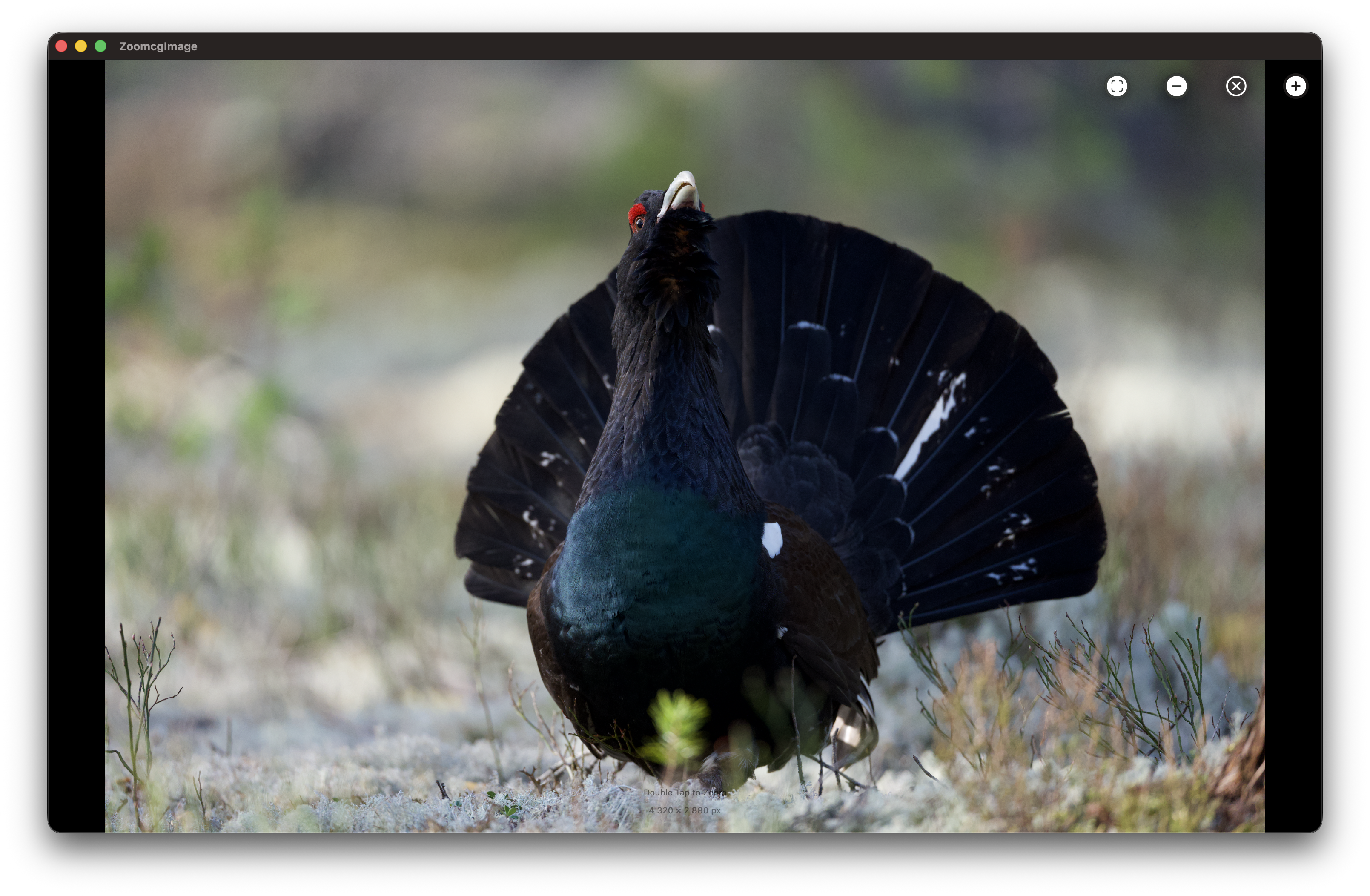 RawCull library after scanning