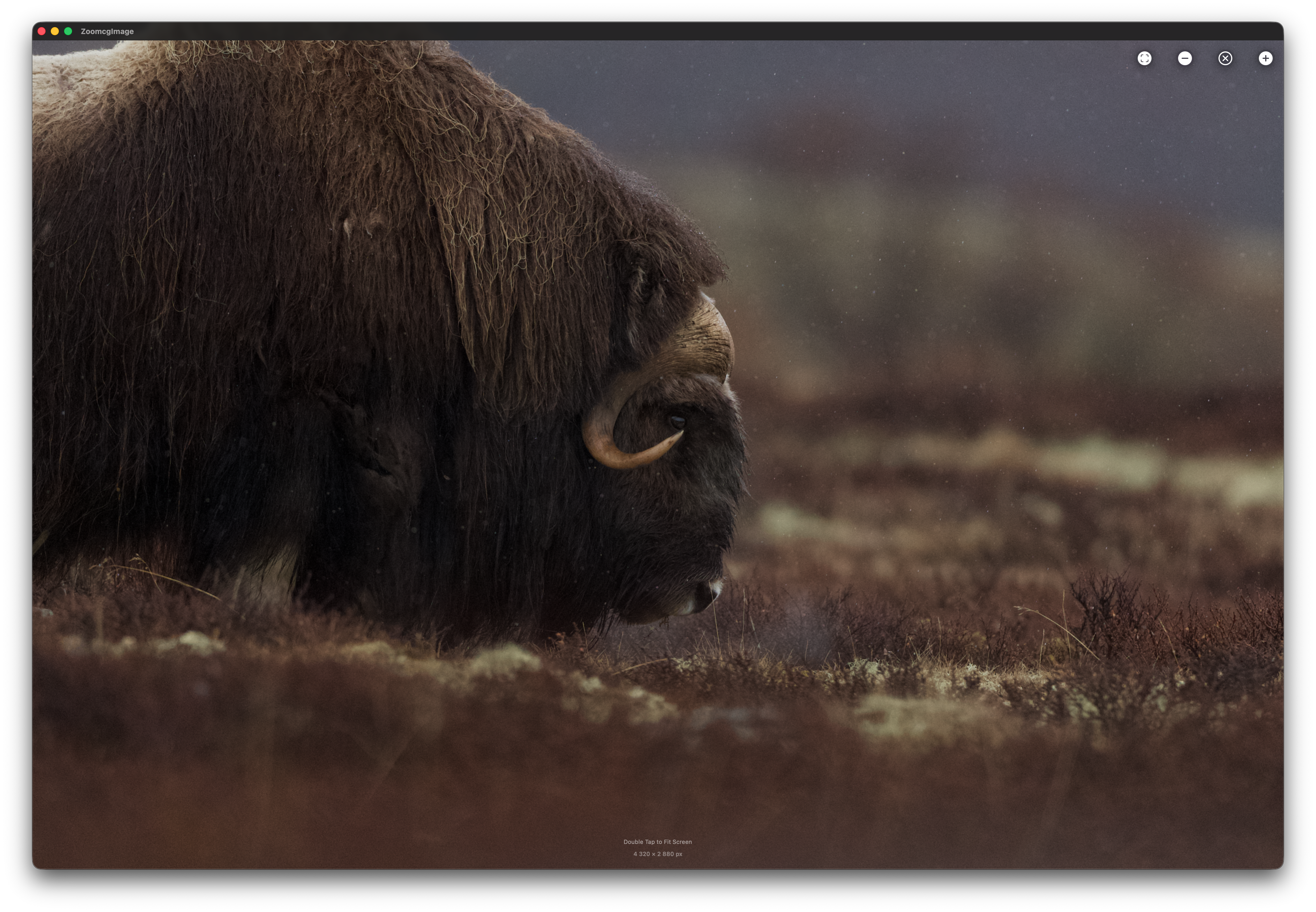 RawCull scanning photo library