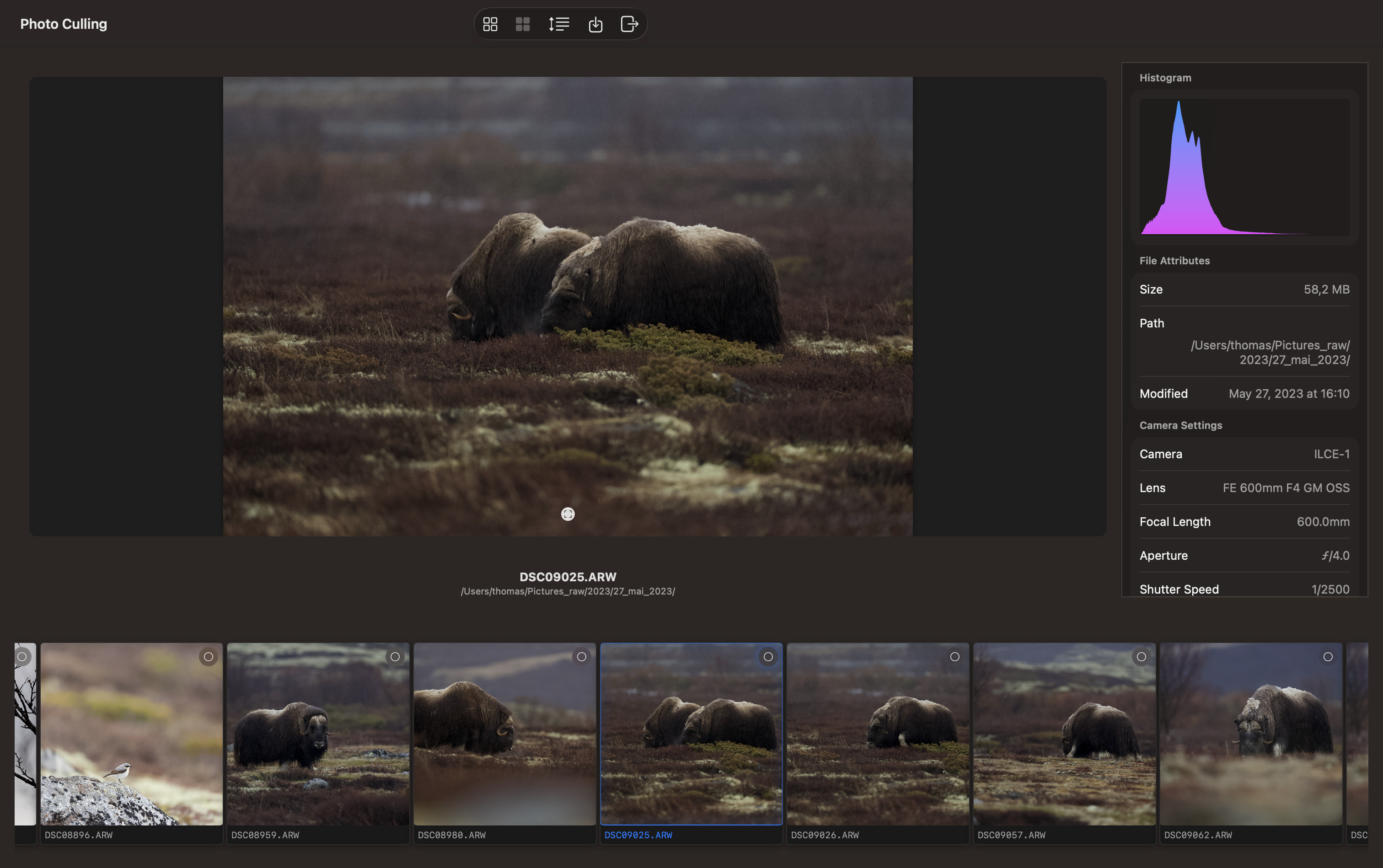 RawCull scanning photo library