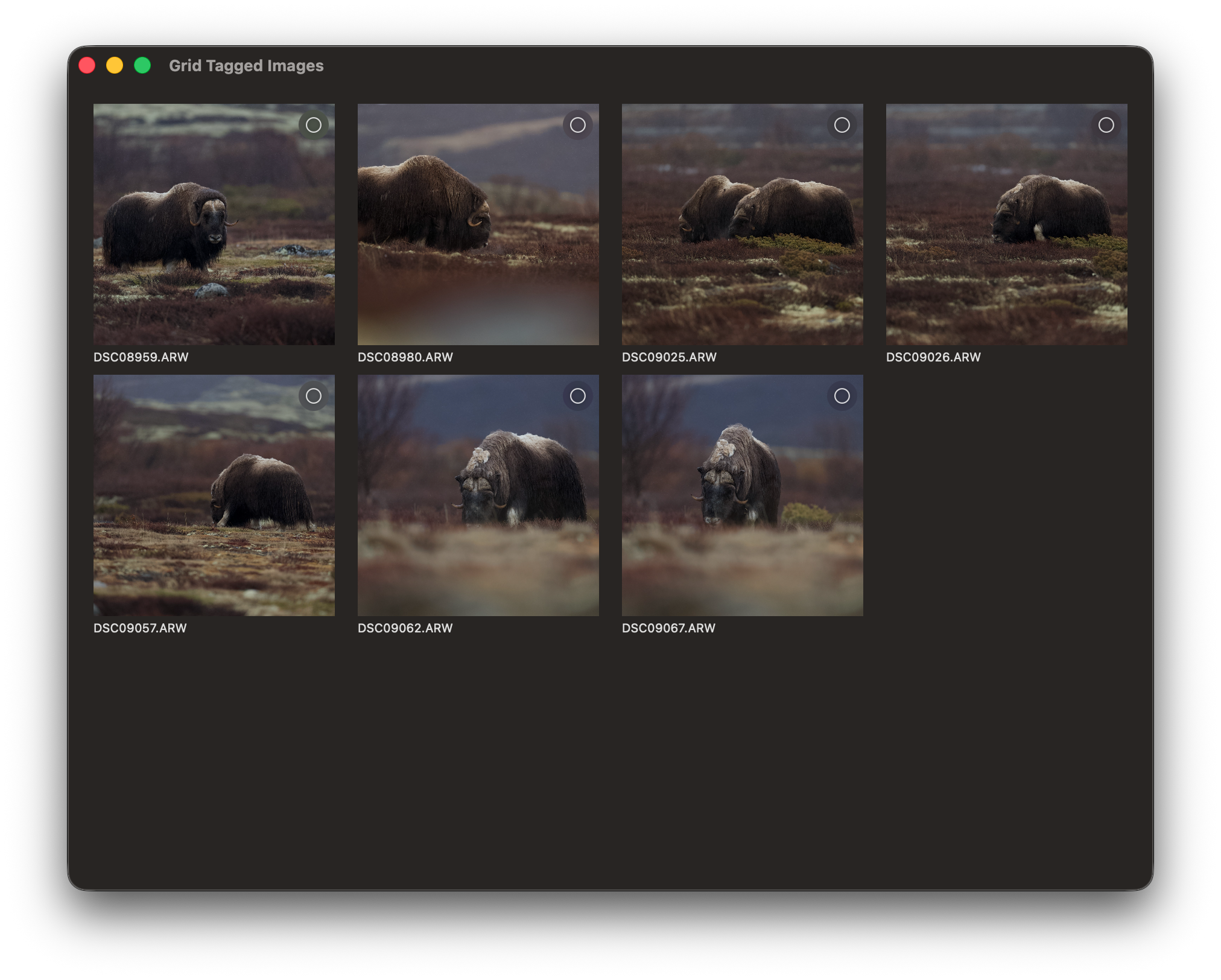 RawCull scanning photo library